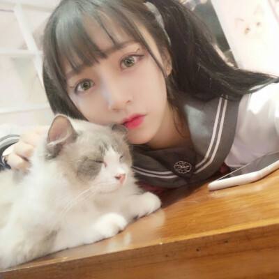 Project Doll手游bilibili版下载